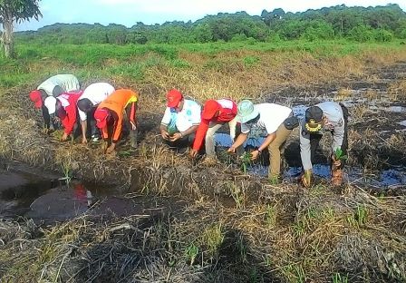 Setelah 13 Tahun, Warga Teluk Meranti Bisa Bertani Lagi